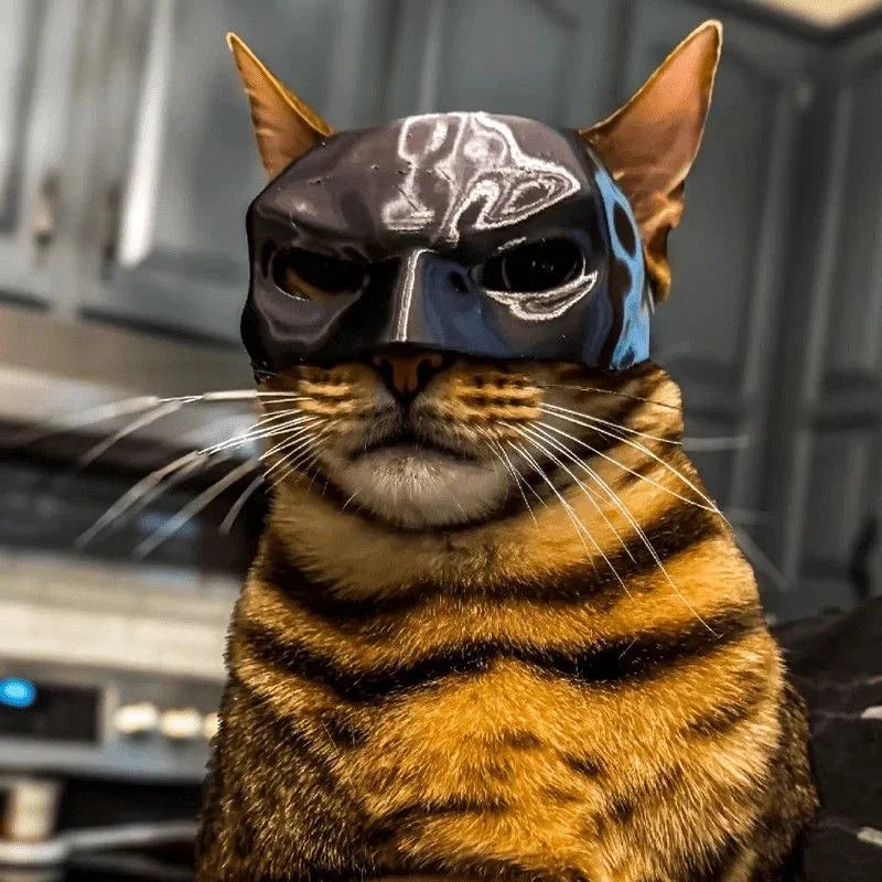 Avenger Cat Mask, Bat Halloween 3D Printed Cosplay Hat, Funny Cat Toys, Photo Props, Pet Accessories