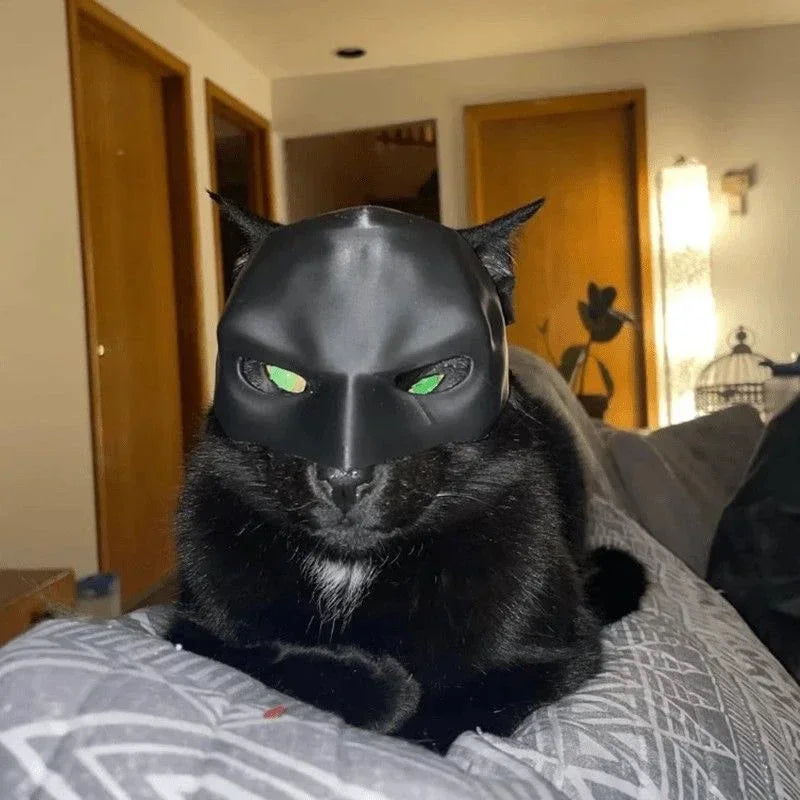 Avenger Cat Mask, Bat Halloween 3D Printed Cosplay Hat, Funny Cat Toys, Photo Props, Pet Accessories